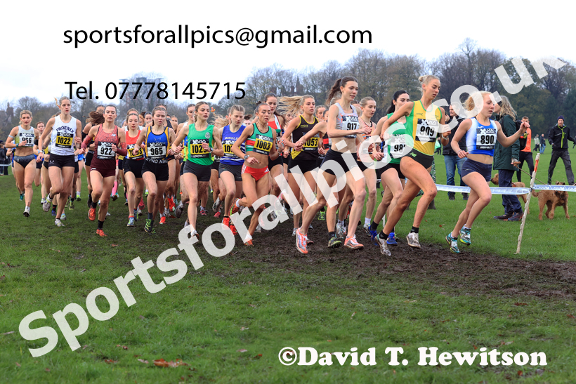 Senior Womens and Under-23s 2025 Liverpool Cross Challenge, Sefton Park, Saturday, November 22th. Photo: David T. Hewitson/Sports for All Pics
